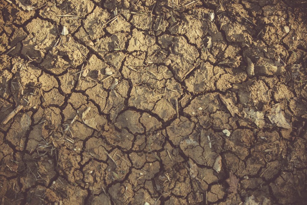 Soil Moisture/Drought